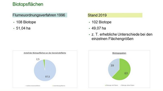 Flächendaten.JPG